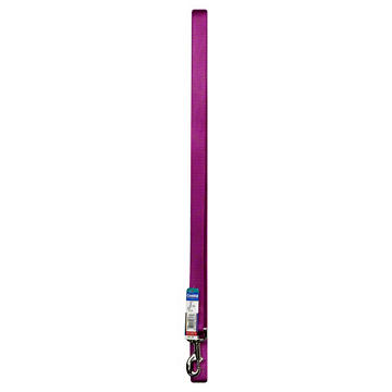 Coastal Pet Products 6 Foot Purple Leash