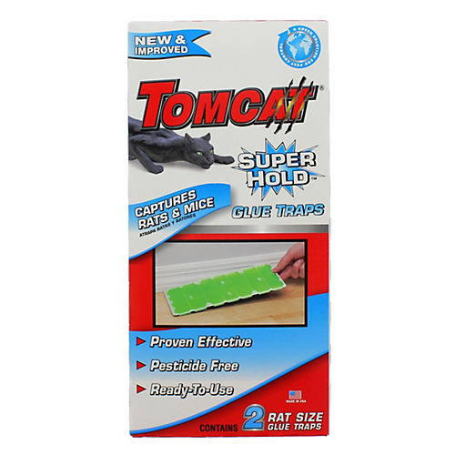 TOMCAT Super Hold Glue Traps Rat Size for Rats, Mice, Snakes, Cockroaches,  Spiders, and Scorpions, Ready-To-Use, 2 Traps 036291005 - The Home Depot