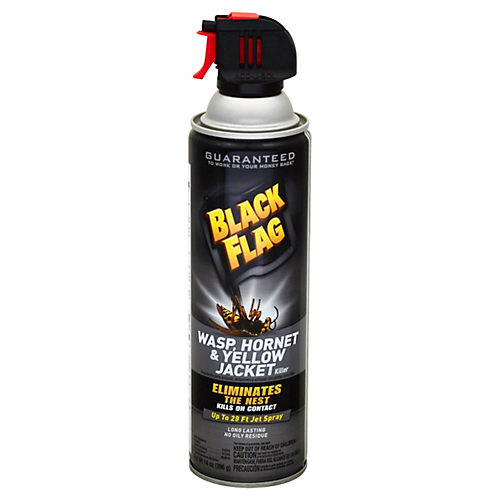 Black Flag Pantry Pest Glue Traps - Shop Insect Killers at H-E-B