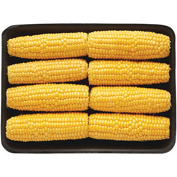 Fresh Intensely Sweet Cob Corn