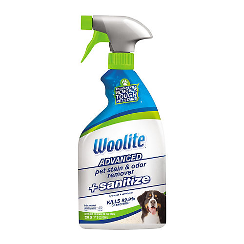 Woolite® Carpet & Upholstery Cleaner with Fabric Safe Brush, 12 fl oz -  Harris Teeter