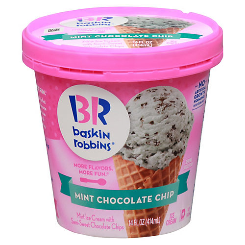mint chocolate chip ice cream cake baskin robbins