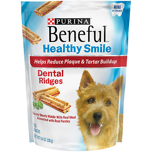 Beneful healthy outlet smile