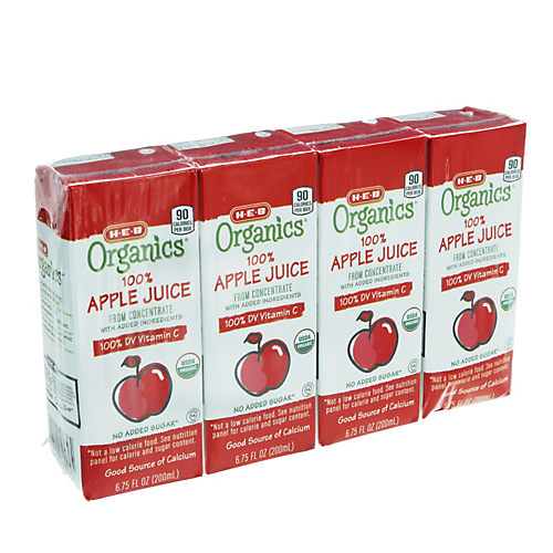 Minute Maid Apple Juice 10 oz Bottles - Shop Juice at H-E-B