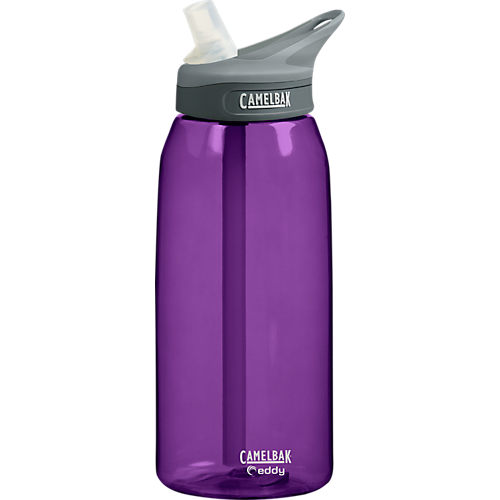 CamelBak Eddy BPA Free Hiking Camping Insulated Water Bottle Purple 20oz