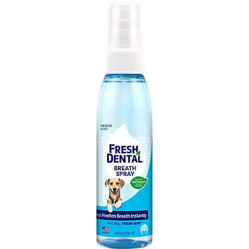 Naturel Promise Fresh Dental Fresh Breath Spray - Shop