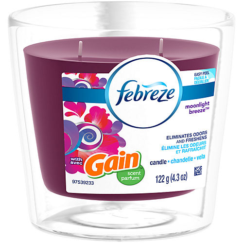 Febreze Gain Moonlight Breeze Wax Melts - Shop Scented Oils & Wax at H-E-B