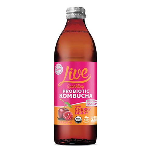 This Chick Is Raw Goji Berry hot Probiotic Elixir w/ Kombucha Tea