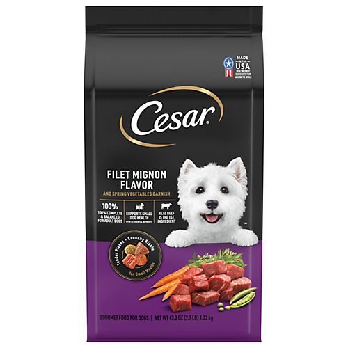 Cesar Filet Mignon Flavor Dry Dog Food Shop Food at H E B