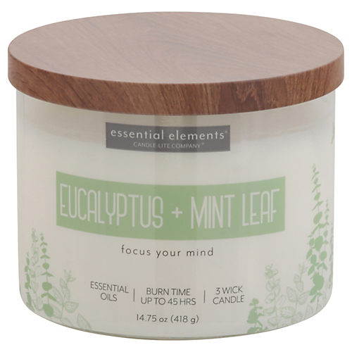 Eucalyptus Peppermint Scented, Bio-Ethanol, Clean Burning/Eco-Friendly  (1000mL /32 oz.) - (Pack of 3)