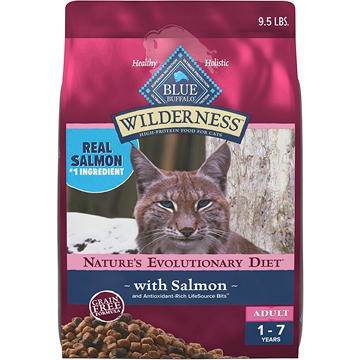 Blue Buffalo Wilderness Dry Cat Food - GF Salmon