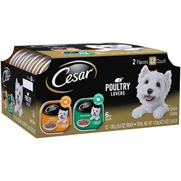 Cesar Filets in Gravy Adult Wet Dog Food - Poultry Lovers