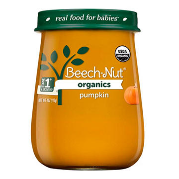 Beech-Nut Organics Stage 1 Baby Food - Pumpkin