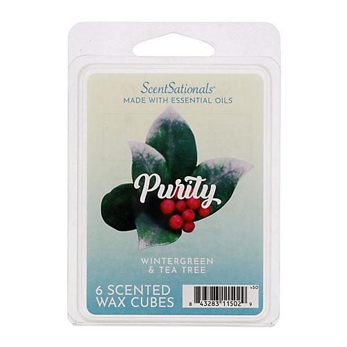 ScentSationals Tuscan Cypress & Sandalwood Wax Cubes 4-Pack 