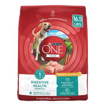 Purina ONE Plus Digestive Health Formula Dry Dog Food Natural