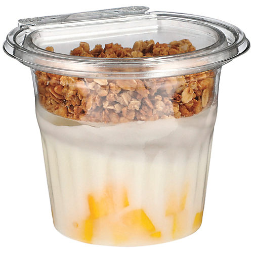 Reusable Yogurt Fruit Granola Parfait Cups 16.2 oz/480 ml each