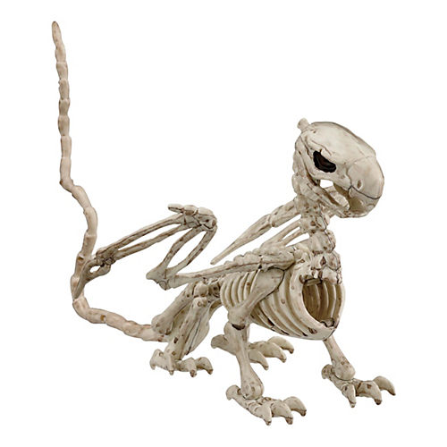 Seasons Digger The Skeleton Dog Halloween Decor - Shop Seasonal Decor at  H-E-B