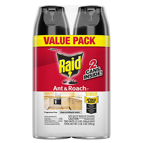 Raid Raid Window Fly Trap - Shop Insect Killers at H-E-B