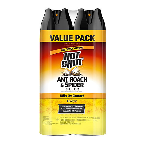 Hot Shot Ant Killer Plus Aerosol, Unscented, Kills On Contact - Shop Insect  Killers at H-E-B