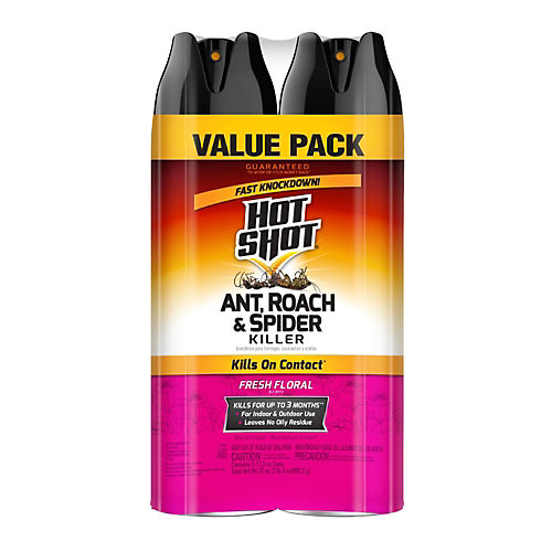 Hot Shot Ant Killer Plus Aerosol, Unscented, Kills On Contact - Shop Insect  Killers at H-E-B