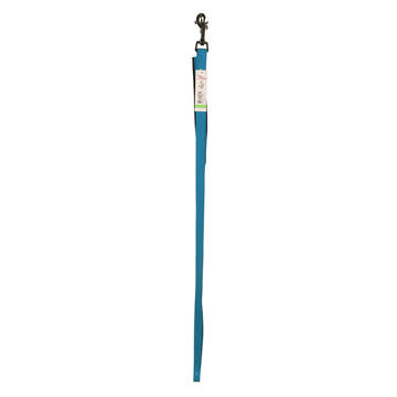Pet Attire Padded Leash Aqua 6 Ft