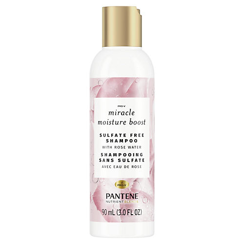 Pantene Moisture Renewal Daily Conditioner - Travel Size - Shop Shampoo &  Conditioner at H-E-B
