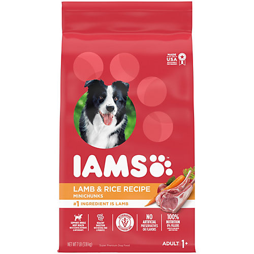 Iams proactive health senior plus dry dog outlet food