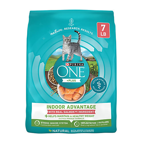 Purina ONE Tender Selects Blend Salmon Adult Dry Cat Food Shop