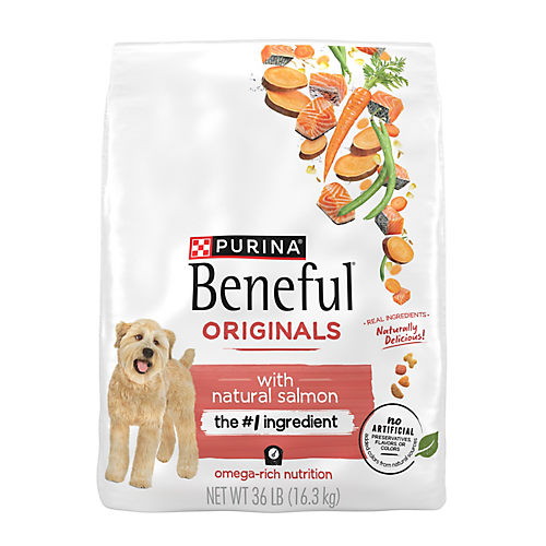 Beneful Originals with Real Beef Dry Dog Food Shop Food at H E B