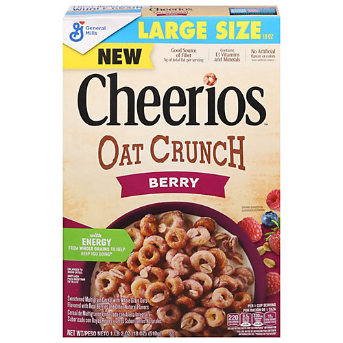 General Mills Honey Nut Cheerios Family Size Cereal, 18 oz - Pay Less Super  Markets