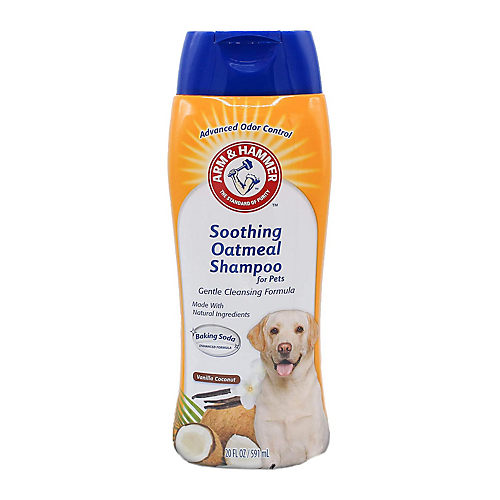 Arm and hammer cheap dog shampoo reviews