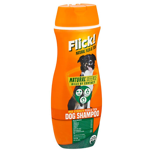 Max Strength Flea + Tick Yard Spray