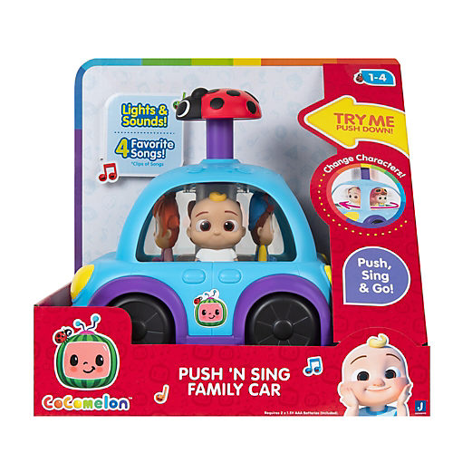 Fisher Price Laugh and Learn So Big Sis – TOYCYCLE