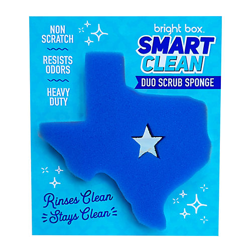 Bright Box Labs Hand Held Cleaning Dish Brush - Pink - Shop Sponges &  Scrubbers at H-E-B