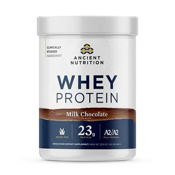 Ancient Nutrition Whey Protein - Milk Chocolate