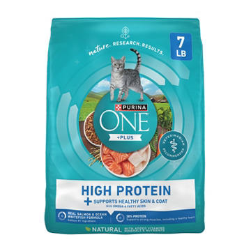 Purina ONE Plus High Protein Dry Cat Food Skin and Coat Health Formula - Salmon and Ocean Whitefish