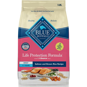 Blue Buffalo Life Protection Formula Dry Dog Food - Salmon