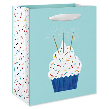 American Greetings Cupcake On Teal Small Birthday Gift Bag