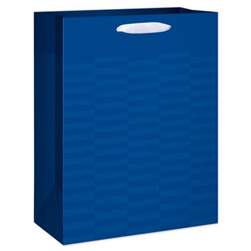 American Greetings Large Blue Father's Day Gift Bag, Checkered