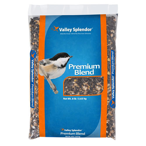 Where to Buy Wild Bird Seed: Top Trusted Stores Revealed