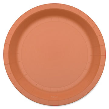 American Greetings Orange 7" Paper Plates