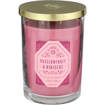 Destination Holiday Passionfruit & Hibiscus Scented Candle
