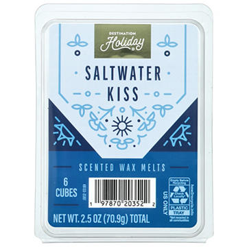 Destination Holiday Saltwater Kiss Scented Wax Melts