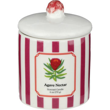 Destination Holiday Agave Nectar Scented Striped Ceramic Candle with Lid