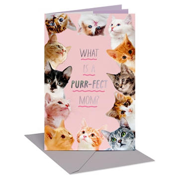 American Greetings Mother's Day Card for Mom - Kitten Book