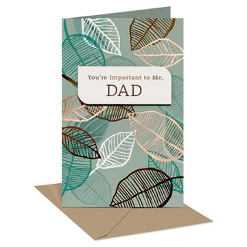 American Greetings Father's Day Card for Dad (Time Flies)