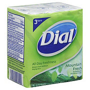 Dial Antibacterial Deodorant Soap - Mountain Fresh