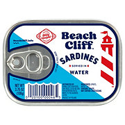Beach Cliff Sardines in Water