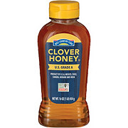Hill Country Fare Clover Honey