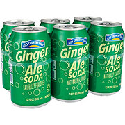 Hill Country Fare Ginger Ale Soda 6 pk Cans